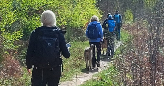 Mehrtages-Wandern, Wandertouren mit Hund